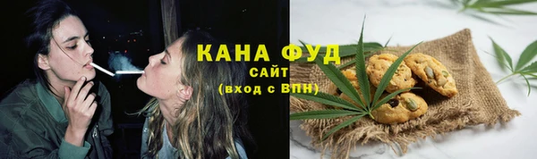 индика Алзамай