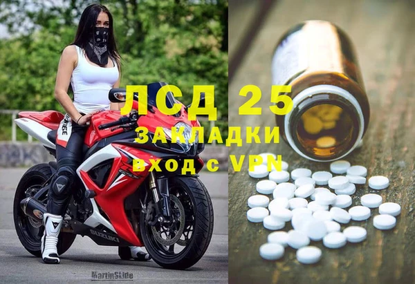 индика Алзамай