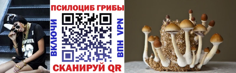 Псилоцибиновые грибы ЛСД Тайшет