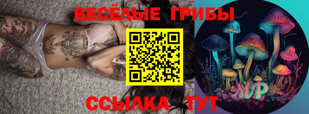 Галлюциногенные грибы мухоморы Тайшет