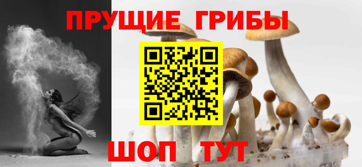 Псилоцибиновые грибы Cubensis  Вход с VPN  Тайшет 