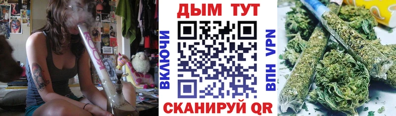 Бошки Шишки тримм  закладки  Тайшет 